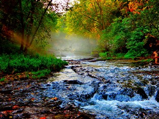 web-Kinni River with fog.jpg