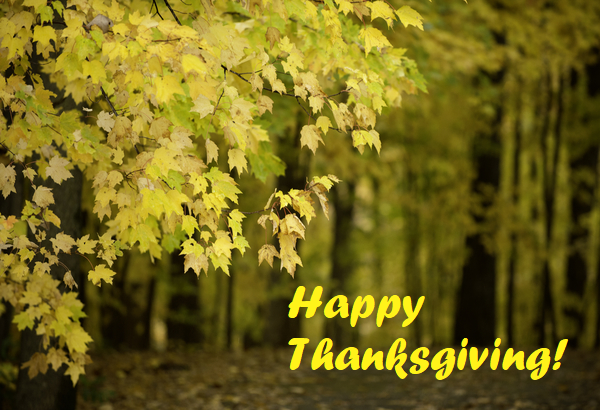 happy thanksgiving